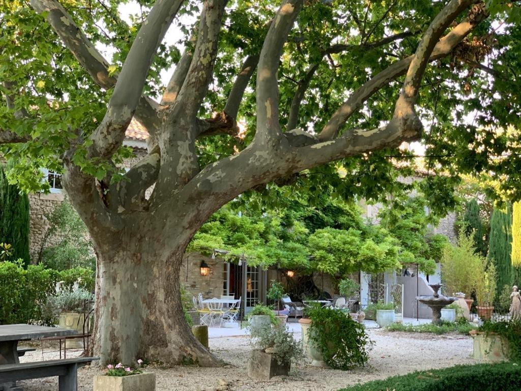 Le Clos De Lucie Lagnes エクステリア 写真