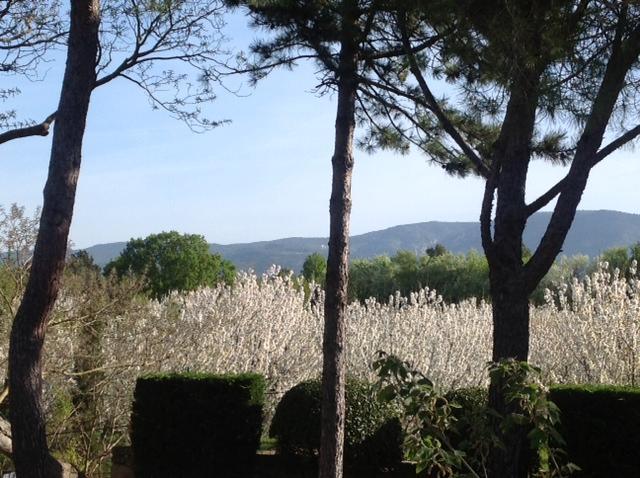 Le Clos De Lucie Lagnes エクステリア 写真